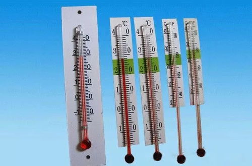 每日一分類 它們是什么垃圾