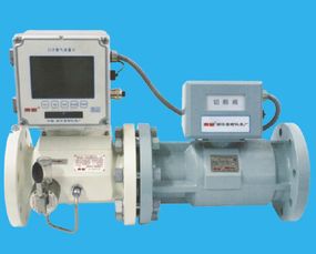 浙江蒼南儀表廠東星牌渦輪流量計,浙江蒼南儀表廠東星牌渦輪流量計生產廠家,浙江蒼南儀表廠東星牌渦輪流量計價格